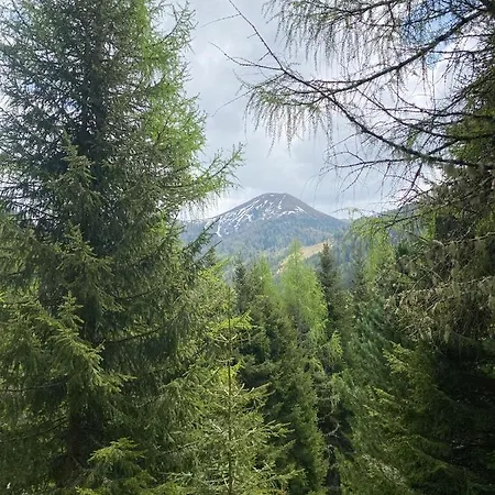 Almhaus Gensbach Alpesi faház Innerkrems