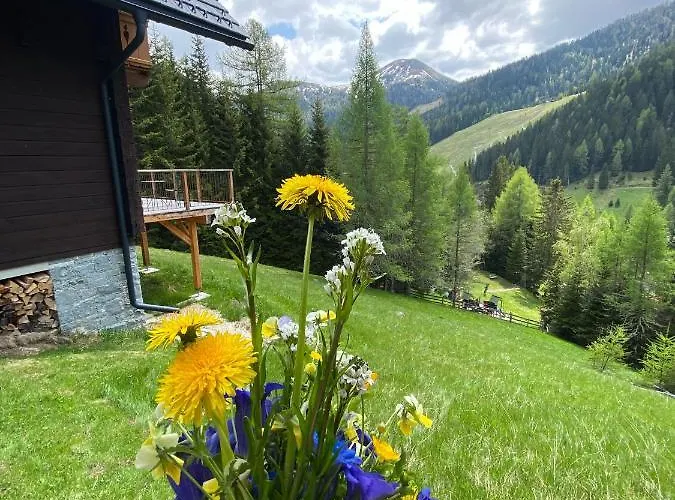 Chalet Almhaus Gensbach