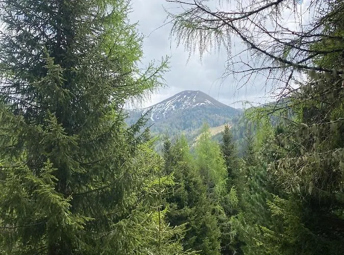 Almhaus Gensbach Chalet Innerkrems