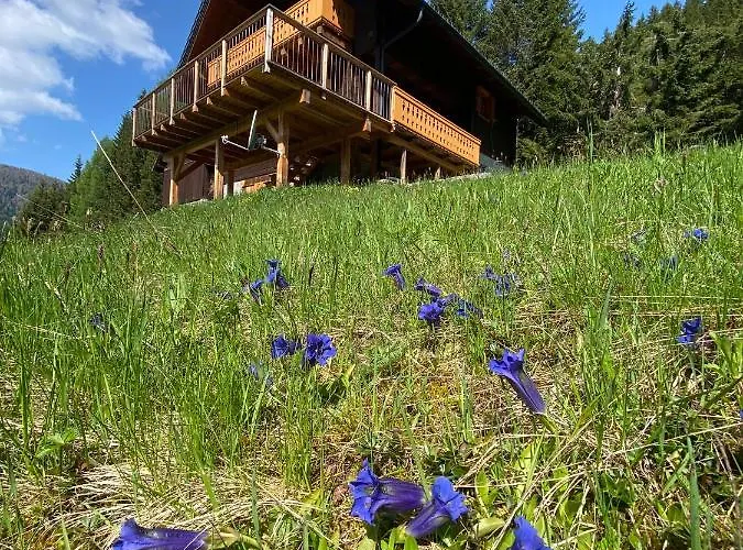 Chalet Almhaus Gensbach Innerkrems