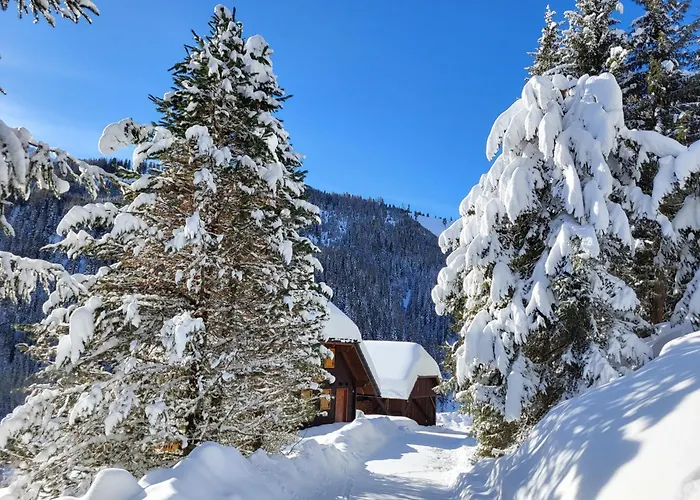 Almhaus Gensbach Chalet